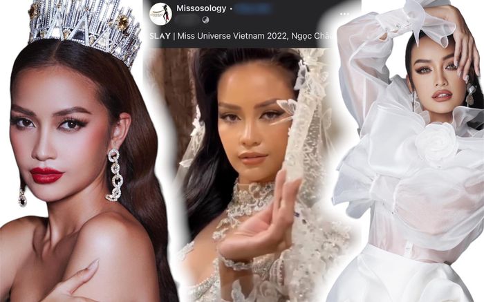 Hoa hậu Ngọc Châu được chuyên trang sắc đẹp nhắc đến, đường đến vương miện Miss Universe không còn xa