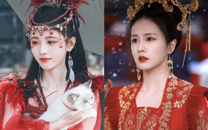 Bạch Lộc - Triệu Lộ Tư gây tranh cãi khi 'chung mâm' với Cúc Tịnh Y trong đề cử Tân Ngũ Đại Lưu Lượng