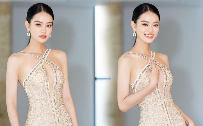 Netizen phản ứng ra sao khi Bùi Khánh Linh được gợi ý đi thi Miss Grand Vietnam?