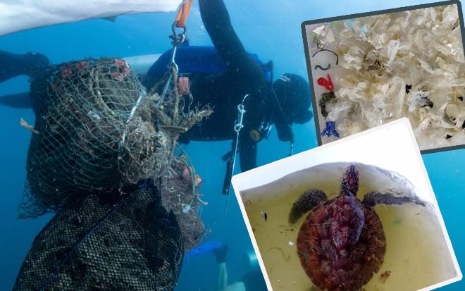 Chú rùa biển nuốt hơn 300 mảnh rác cảnh báo mối nguy nghiêm trọng về ô nhiễm môi trường biển ở Thái Lan