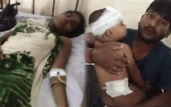 Người mẹ Ấn Độ tay không đánh nhau với hổ dữ, giải cứu con trai 15 tháng tuổi