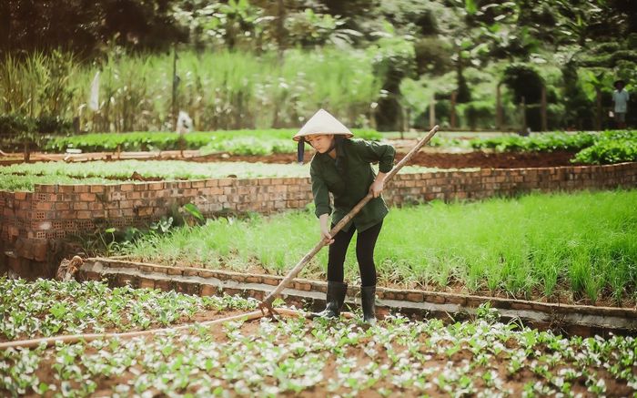 Dương Lê Tuyết Nhung - tự hào là con nhà nông với tình yêu dành cho sản phẩm trong lành