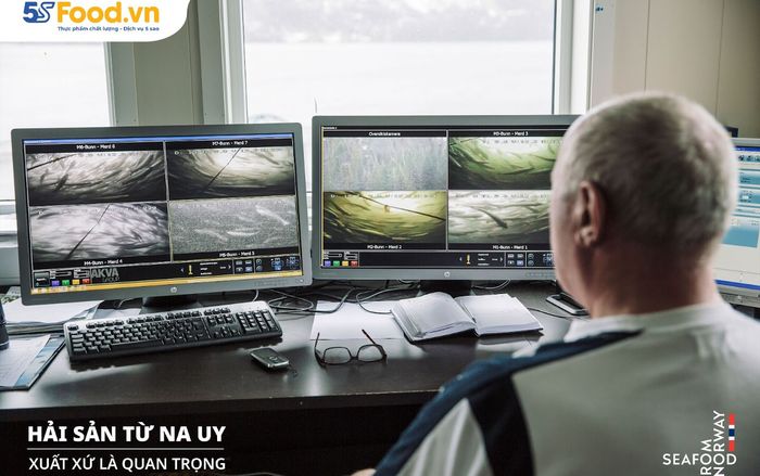 Cá hồi Nauy SFN và những tiêu chuẩn bền vững khắt khe nhất thế giới