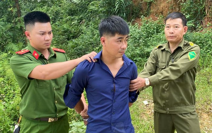 Cướp taxi Mai Linh nhưng không biết lái, thanh niên bị công an bắt giữ