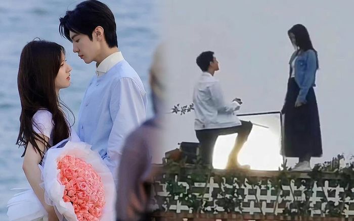 Cùng cảnh cầu hôn, Dương Dương - Vương Sở Nhiên được khen ăn đứt Triệu Lộ Tư - Trần Triết Viễn