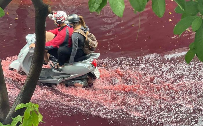 Một con đường tại quận Tân Phú ngập nước màu đỏ sẫm