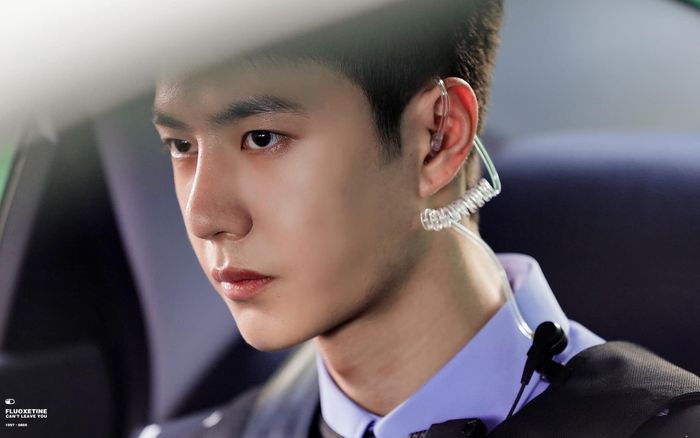 Vương Nhất Bác bất ngờ được coi là 'báu vật có một không hai', khán giả phải gật gù đồng tình