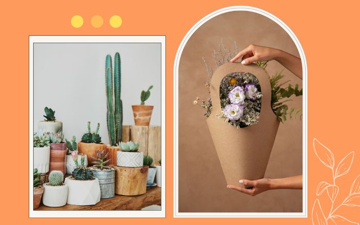Tặng gì cho Thầy Cô nhân ngày Nhà giáo?
