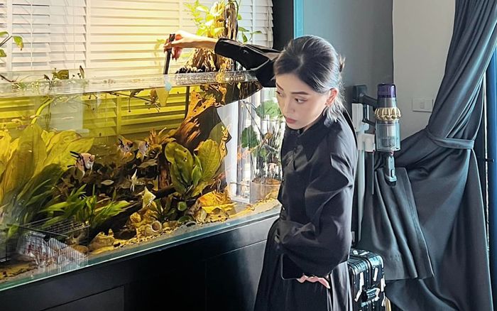 Răm rắp nghe theo lời 'nóc nhà' nhưng Bình An lại nhận cái kết cười ra nước mắt