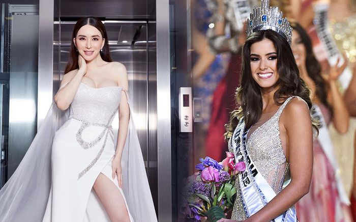 Chủ mới Miss Universe úp mở việc mang giải thưởng phụ quay trở lại: Không còn cảnh thí sinh 'trắng tay'