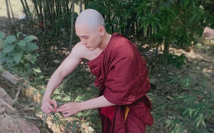 Nối gót Đại Nghĩa, một nam diễn viên nổi tiếng chuẩn bị xuống tóc xuất gia