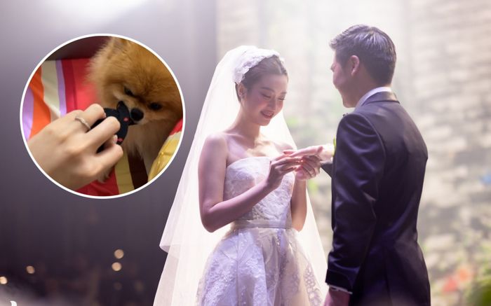 Lộ diện 'vật chứng tình yêu' của Đỗ Mỹ Linh và ông xã đại gia khiến nhiều người bất ngờ