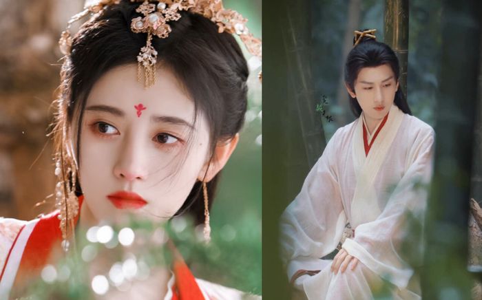 Rộ tin Thành Nghị hẹn hò với Cúc Tịnh Y, fan Dương Tư khóc hết nước mắt, chê đàng gái?