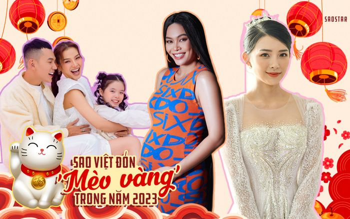 Những sao Việt đón 'mèo vàng' trong năm 2023