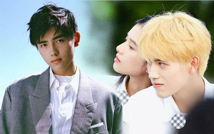 Trần Phi Vũ từ chối đóng bản điện ảnh Chiếc Bật Lửa Và Váy Công Chúa, nguyên nhân là do Trương Tịnh Nghi?