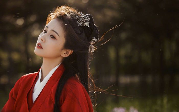 Bạch Lộc nhận tin buồn vào dịp cuối năm, khán giả khóc hết nước mắt vì thương