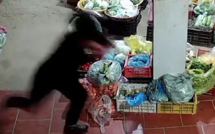 Đang ngồi lựa rau củ, 2 người dân vội bỏ chạy 'trối chết' khi phát hiện thứ này lao tới