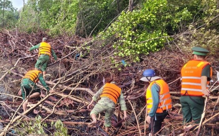 Nỗ lực tìm kiếm người bất ngờ bị sóng đánh rơi xuống biển