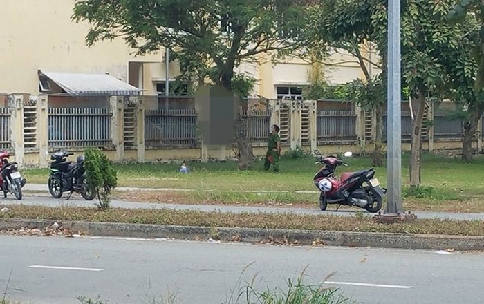 Đi tập thể dục ngang khuôn viên cây xanh, người dân phát hiện cảnh tượng gây ám ảnh