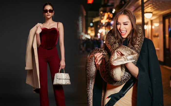 Dính nghi vấn dùng túi da động vật, Miss Universe Thailand đăng ảnh chơi đùa cùng 'bé Na' để chữa cháy