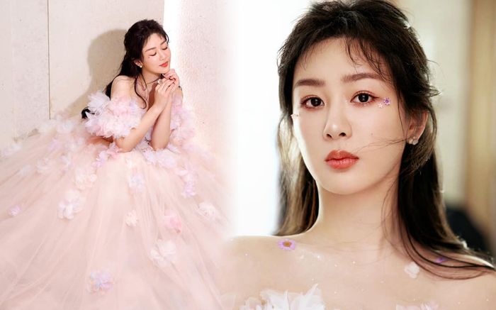 Dương Tử gặp biến cố lớn ngay ngày đầu năm mới, đến fan cũng không giúp được