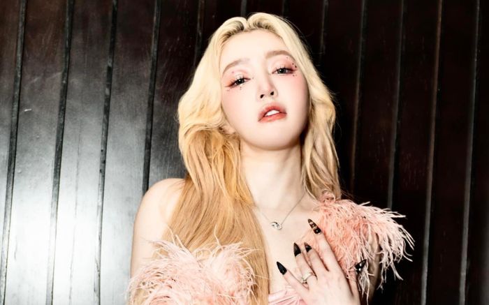 Oan gia ngõ hẹp, Elly Trần tiết lộ tình mới của chồng là fan của cô