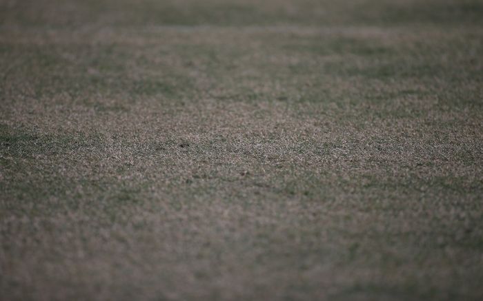 Sân Mỹ Đình bón phân 120 triệu/trận, cỏ không xanh khiến khán giả nghĩ tivi hỏng