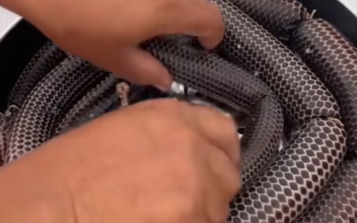 Dân mạng 'phát hoảng' trước món lạp xưởng rắn của cô gái: Món ăn thách thức lòng dũng cảm