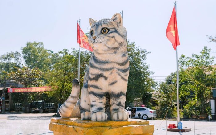 Cận cảnh linh vật mèo ở Quảng Trị gây sốt MXH khiến dân tình cảm thán: 'Hoa hậu mèo' đây rồi!