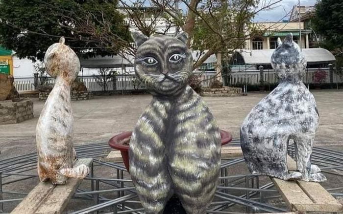 Linh vật mèo Đồng Nai trình làng: Người khẳng định giống cú mèo, người khóc thét gọi zombie