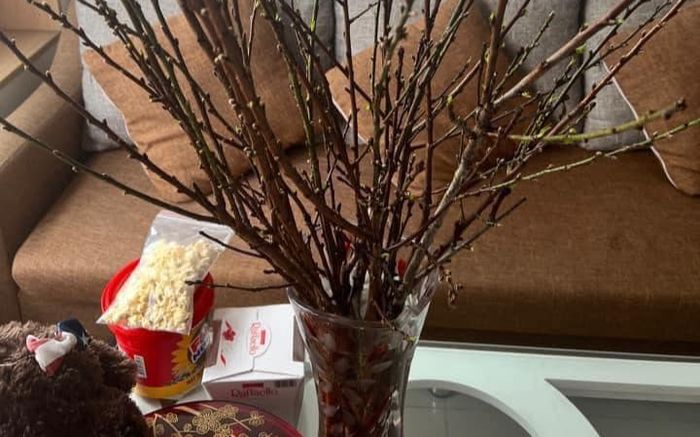 29 Tết nhưng nhiều gia đình 'khóc thét' vì tuyết mai vẫn đang 'ngủ đông'