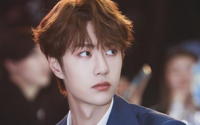 Vương Nhất Bác đáp trả cực sâu sắc khi bị anti-fan vùi dập