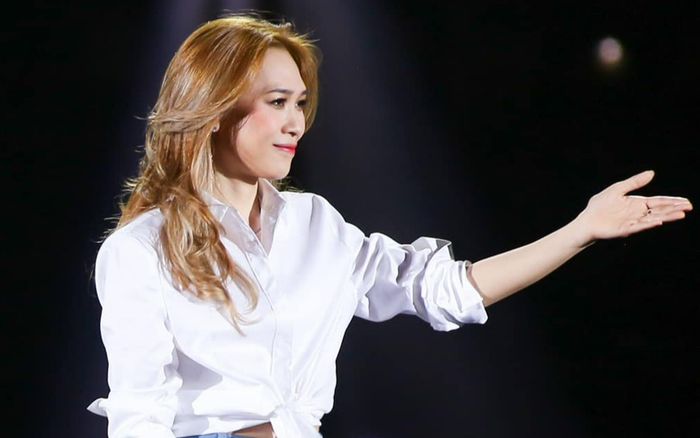 Mỹ Tâm có hành động 'sưởi ấm' trái tim 1 fan nam vừa ra đi mãi mãi