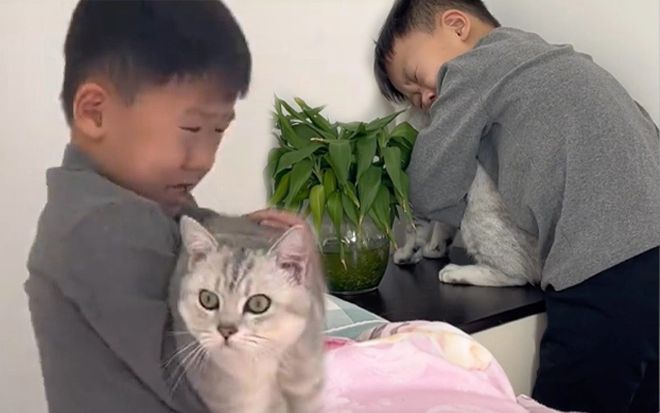 Cậu bé ôm chặt mèo cưng, nức nở: 'đừng rụng lông nữa, anh xin em đấy' và lý do đẫm nước mắt phía sau