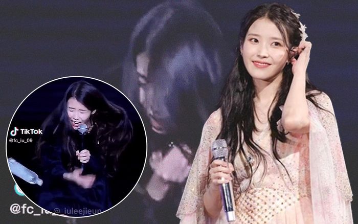 Bị khán giả ném chai nước vào mặt 'đau điếng' trên sân khấu, dân mạng nói gì về cách hành xử của IU?