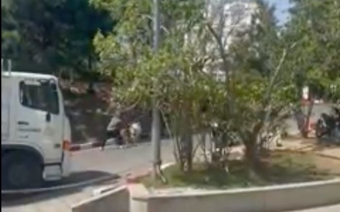 Không chịu đứng nắng chụp ảnh với khách, chú chó Alaska bị chủ đánh đến gãy cây khiến dân tình bức xúc