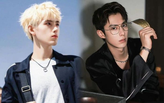 Trần Phi Vũ bị Vương Hạc Đệ hớt tay trên sau lùm xùm đời tư