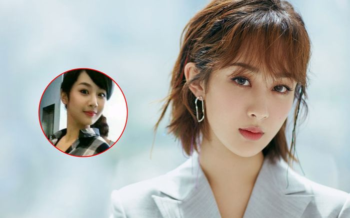 Nhan sắc thời còn là sinh viên của Dương Tử xuất sắc thế nào mà khiến dân tình tiếc nuối?