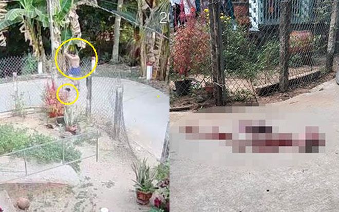 Sau câu nói 'mày thách tao, qua đây', người phụ nữ bị hàng xóm dùng gậy đánh đến tử vong giữa đường