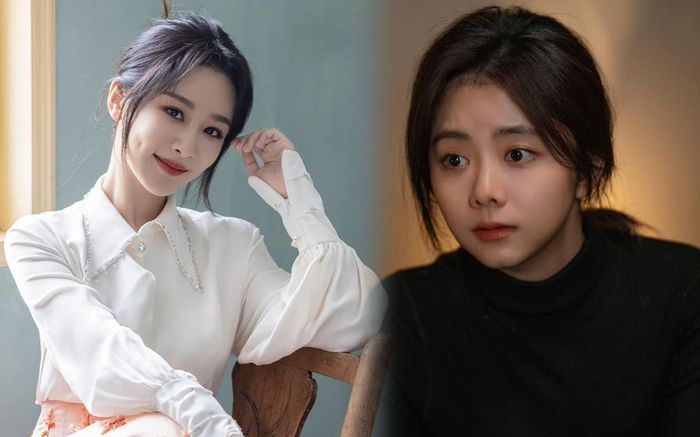 Đàm Tùng Vận là người đã dạy Dương Tử các tiêu chí chọn người yêu?