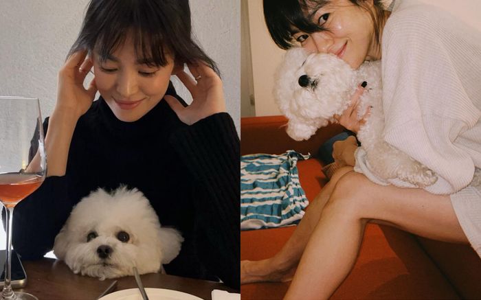 Mặt mộc ở tuổi 41 của Song Hye Kyo có xứng với tên gọi 'quốc bảo nhan sắc' Hàn Quốc?