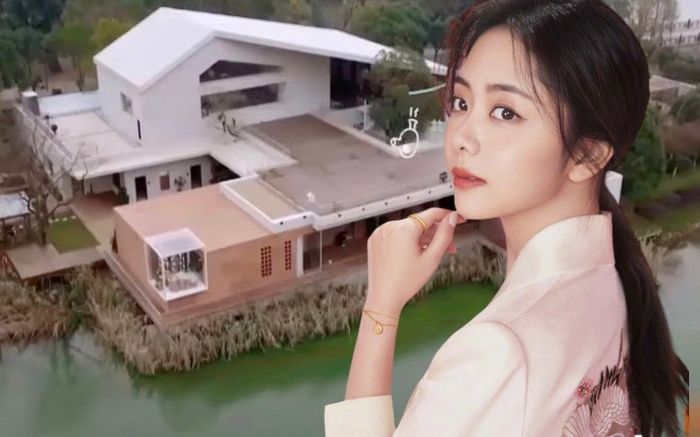 Không chỉ sở hữu gia tài phim ảnh đồ sộ, Đàm Tùng Vận có trong tay khối tài sản 'khủng' bất ngờ