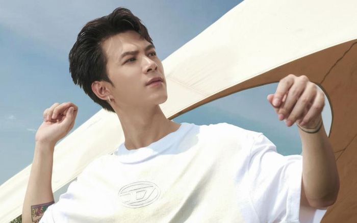 Xa Diệu Nhi, Anh Tú tiết lộ 'sự thật cay đắng'