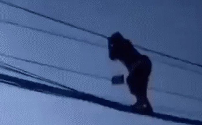 'Đứng tim' theo dõi cô gái đi trên đường dây điện rồi ngồi vắt vẻo