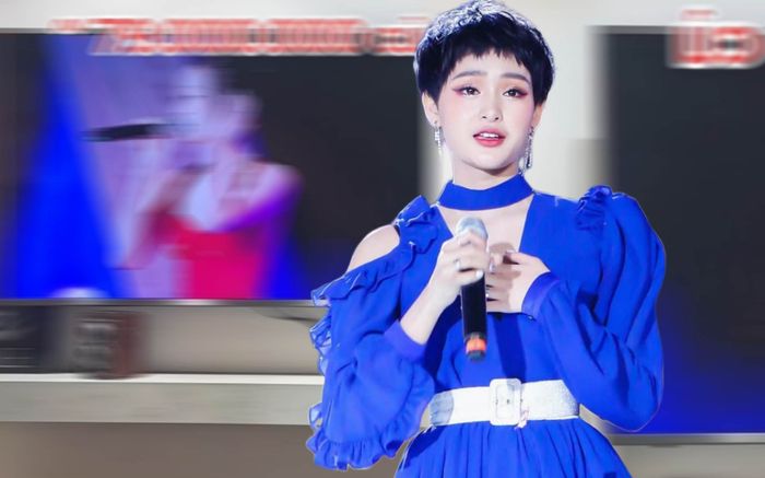 Một cửa hàng bị 'tẩy chay' vì sử dụng hình ảnh Hiền Hồ quảng cáo