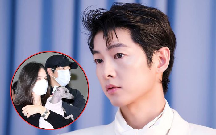 Song Joong Ki đáp trả khi bị chê nhan sắc thảm họa, để lộ 1 chi tiết gây sốc liên quan đến vợ ngoại quốc