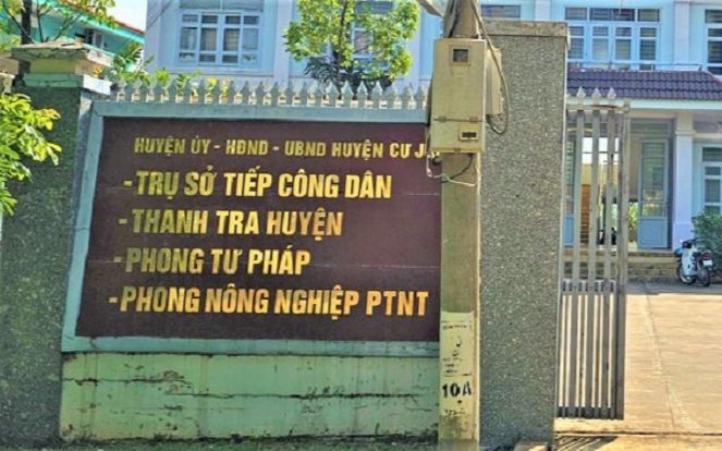 Một Trưởng phòng chuyên môn ở Đắk Nông thừa nhận bứng trộm cây mang về, ngỡ ngàng trước lời giải thích