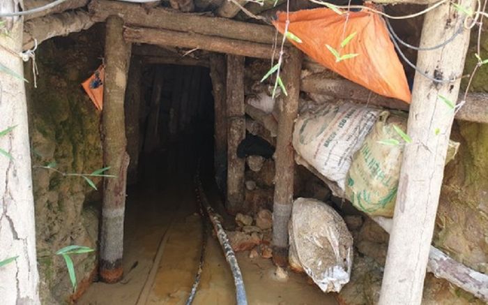 Tìm thấy 3 thi thể trong hầm vàng bỏ hoang ở Đắk Nông