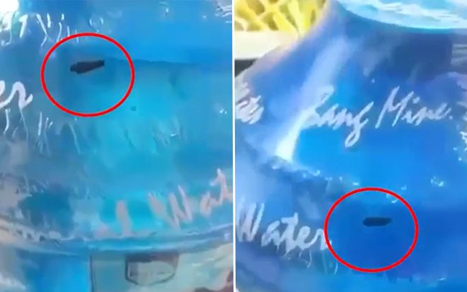 Con đỉa 'bơi' ngoe nguẩy trong bình nước còn nguyên tem dùng cho trẻ mầm non uống