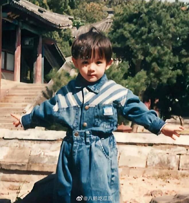 Loạt ảnh thời thơ ấu của dàn diễn viên Tam sinh tam thế Chẩm thượng thư: Địch Lệ Nhiệt Ba xinh từ trong trứng nước